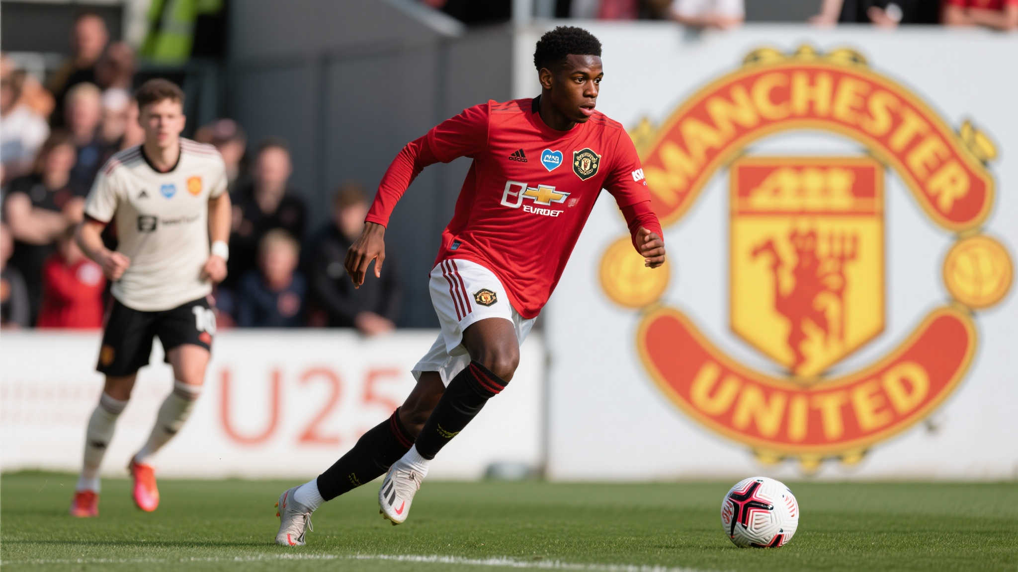 场的传递质 场的传递质